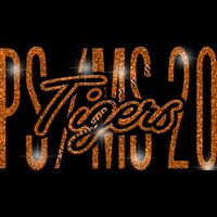 GLT95 ORANGE GLITTER Thumbnail